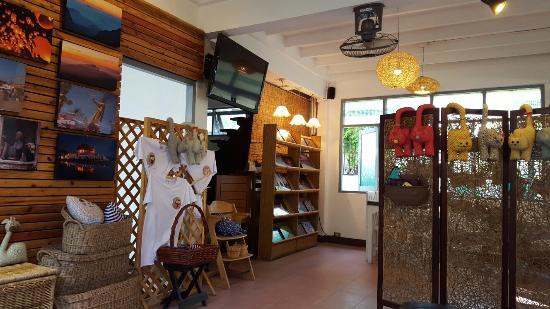 Photorista Chiang Mai